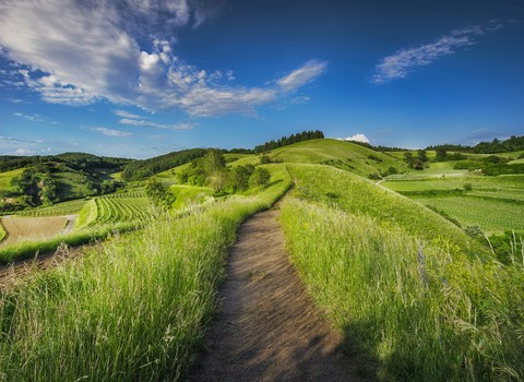 Yo soy el camino, la verdad y la vida