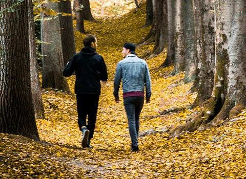 ¿De qué discutíais por el camino?