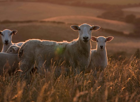 Yo y el Padre somos uno