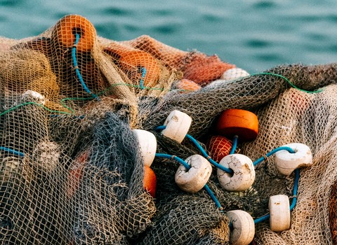 ¿Habéis entendido?