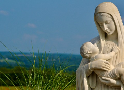 Conservaba estas cosas, meditándolas en su corazón