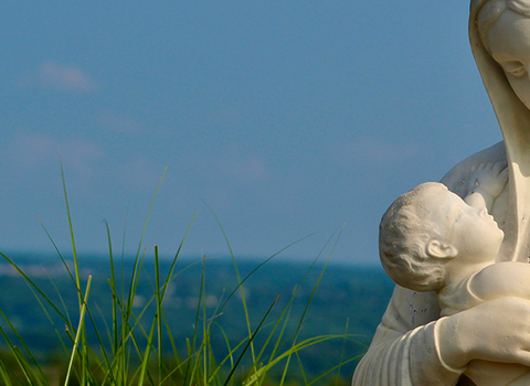 Conservaba estas cosas, meditándolas en su corazón