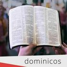 Domingo 22 DIC 2024 - Comentario al Evangelio de hoy